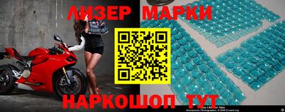 индика Ставрополь