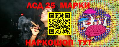 индика Ставрополь