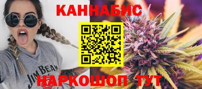 индика Ставрополь