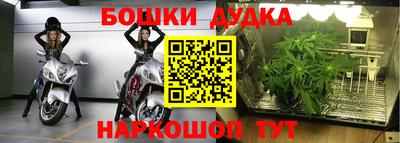 индика Ставрополь