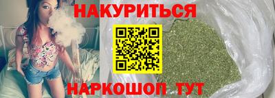 индика Ставрополь